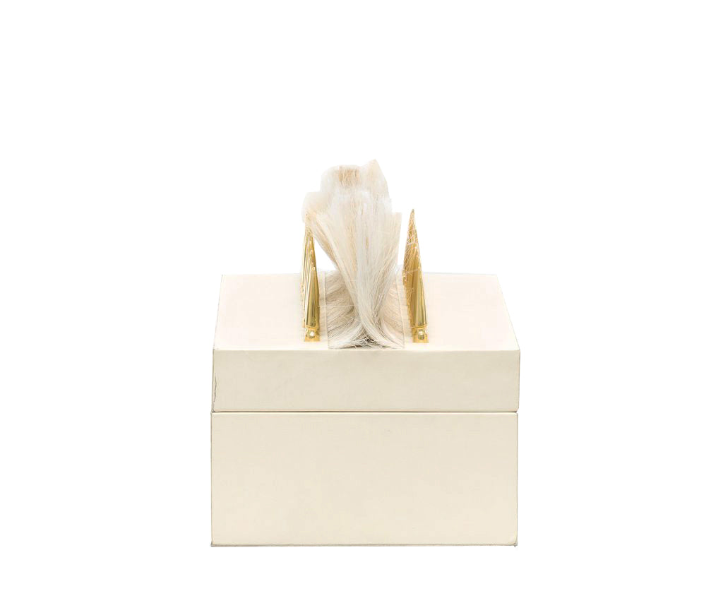 Decorative box with white background