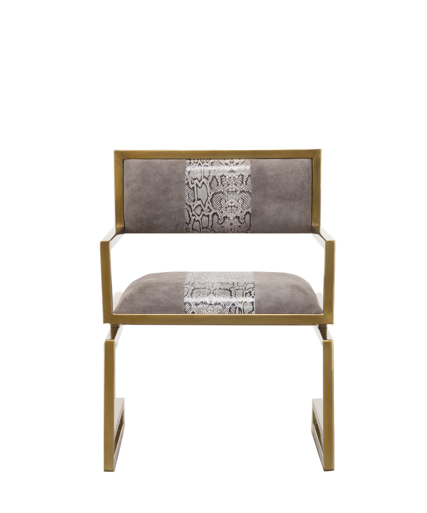 Front view of a modern snakeprint chair with cushioned seat.